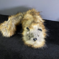 Deluxe Raccoon (Large)