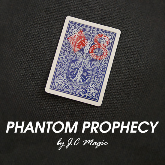 Phantom Prophecy by J.C Magic