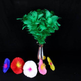 Deluxe Bouquet Regeneration