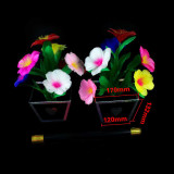 Deluxe Split Potted Flower