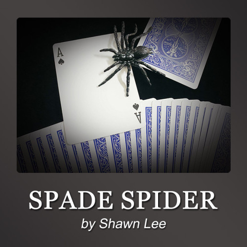 Spade Spider by Shawn Lee