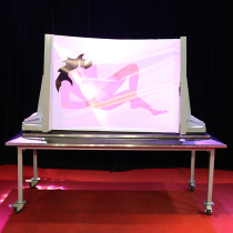 * Compressed Girl Illusion