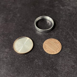 Dime and Penny by Oliver Magic