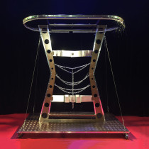 * New Assistant's Revenge Illusion