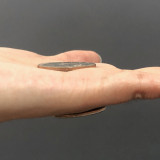 Magnetic Half Dollar (Super Strong)