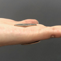 Magnetic Half Dollar (Super Strong)