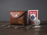 Card and Coin Carrier