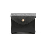 Card and Coin Carrier