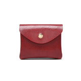 Card and Coin Carrier