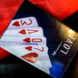 L.O.V.E by SansMinds