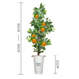 * Orange Tree by Angel