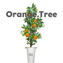 * Orange Tree by Angel