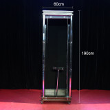 * Blinded Illusion (Small)