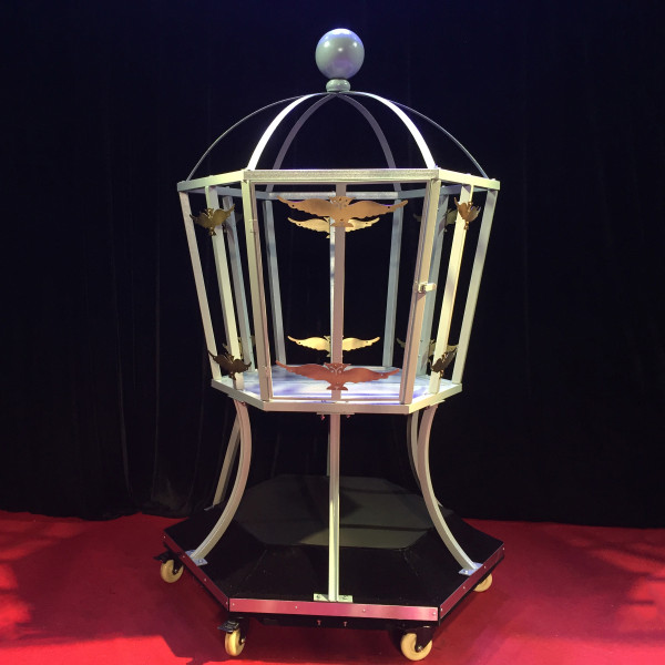 * Fire to Girl Illusion