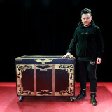 * Sub Trunk Illusion