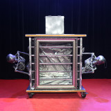 * Head Mover Illusion