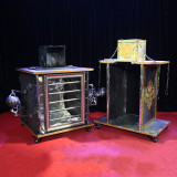 * Head Mover Illusion