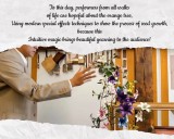 * Orange Tree by Angel