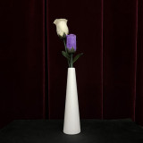 * Rose Color Change Vase by JIN