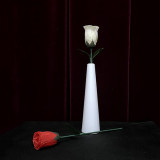 * Rose Color Change Vase by JIN