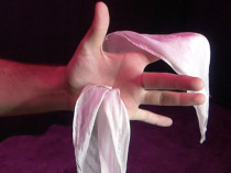 * The Silk by Gonzalo Albiñana and Crazy Jokers