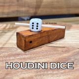 Houdini Dice