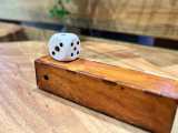 Houdini Dice