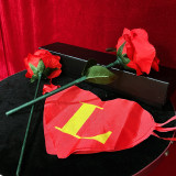 * Rose Silk to Blendo by JIN