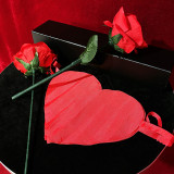 * Rose Silk to Blendo by JIN