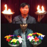 Double Flowers From Fire Pan