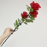 Super Light Rose Queen (Charging Version)