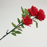 Super Light Rose Queen (Charging Version)