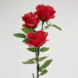 Super Light Rose Queen (Charging Version)