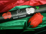 Rose Change