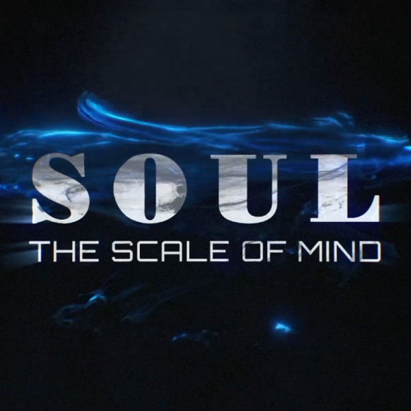 * SOUL - THE SCALE OF MIND