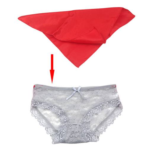 Twentieth Century Comedy Panties