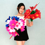 Multiplying Flowers Set