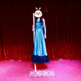 * Vertical Suspension Illusion