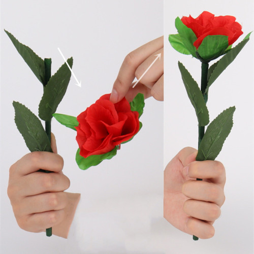 Rose Regeneration (Red)