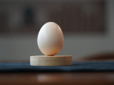 Real Egg (White/Brown)