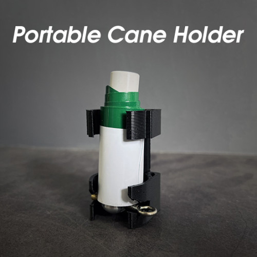 Portable Cane Holder