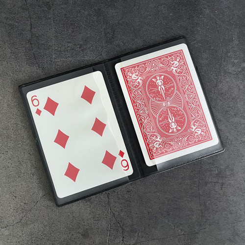 Plastic Wallet for Cards