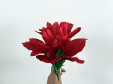 Sleeve Bouquet - Red/White/Multicolor