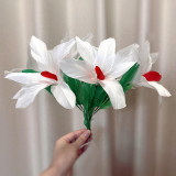 Sleeve Bouquet - Red/White/Multicolor