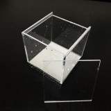 Mystic Aquarium by J.C Magic