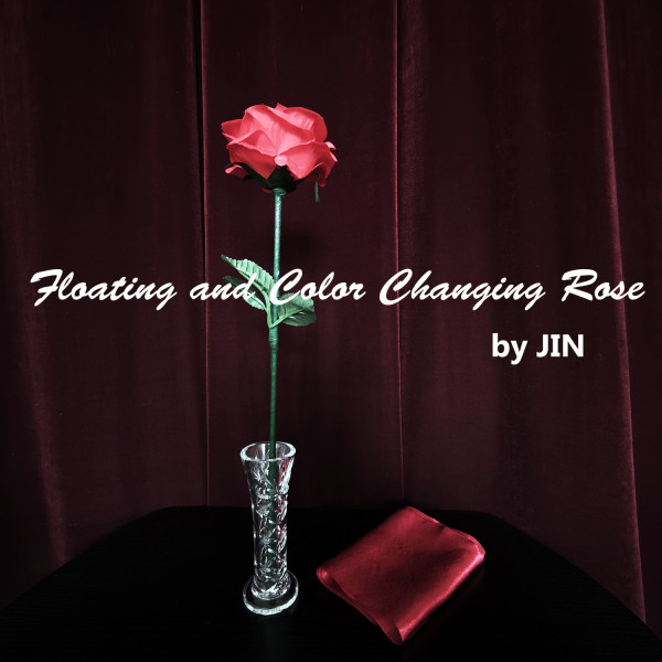 Floating and Color Changing Rose by JIN