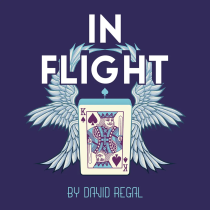 * In Flight by David Regal