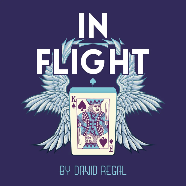* In Flight by David Regal