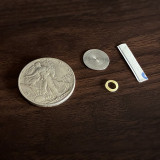 Multipurpose Flipper Coin (Walking Liberty Half Dollar) by Oliver Magic