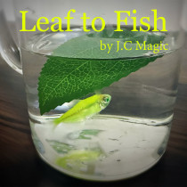 Leaf to Fish by J.C Magic